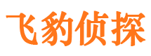 宜昌市侦探调查公司